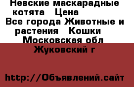 Невские маскарадные котята › Цена ­ 15 000 - Все города Животные и растения » Кошки   . Московская обл.,Жуковский г.